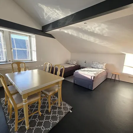Loft - Basel&schweiz Apartment *